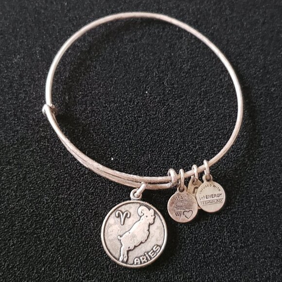 ALEX AND ANI ARIES Charm  Adjustable Bangle Express Yourself  Self Love      232 - Picture 1 of 5
